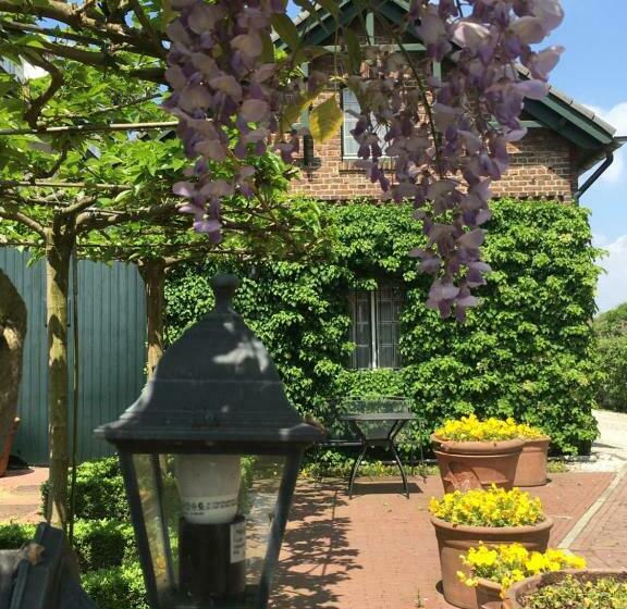 شقة غرفة واحدة, Brull