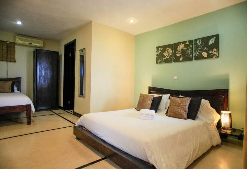 اتاق استاندارد, Casa Marbella