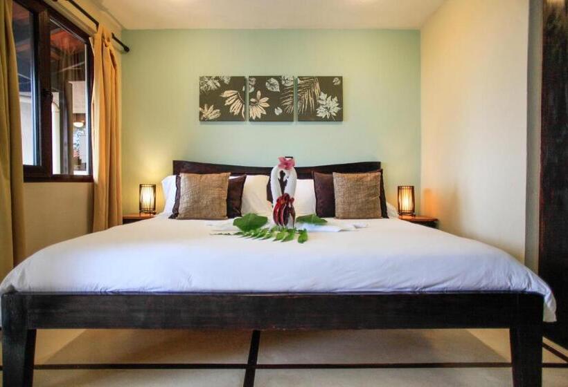 اتاق استاندارد با تخت بزرگ, Casa Marbella