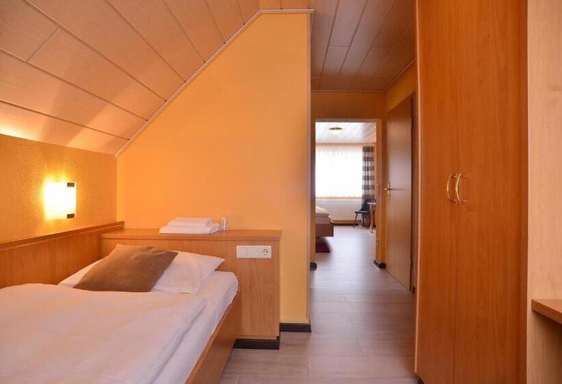 Номер Стандарт Трехместный, Harbauer