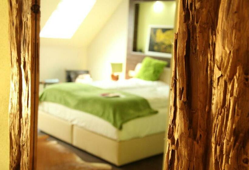 公園の見えるスタンダードルーム, Kunst Pension Frahm