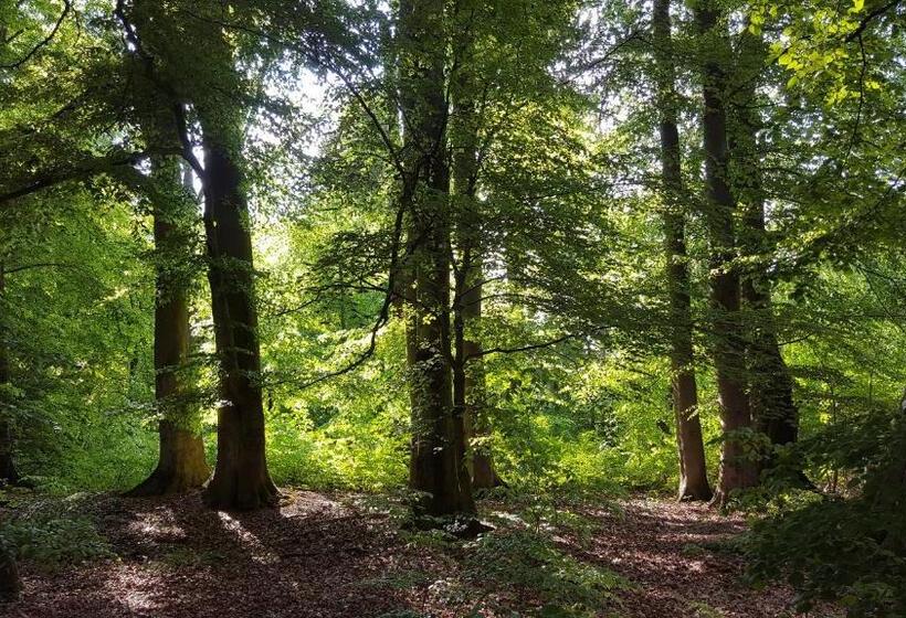 テラス付き１ベッドルームアパートメント, Kunst Pension Frahm