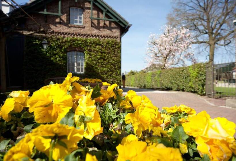 شقة غرفة واحدة, Brull