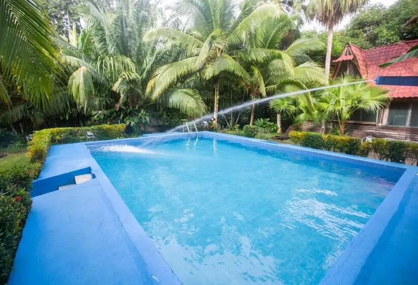 ویلای 1 خوابه, Villas Maria Luisa