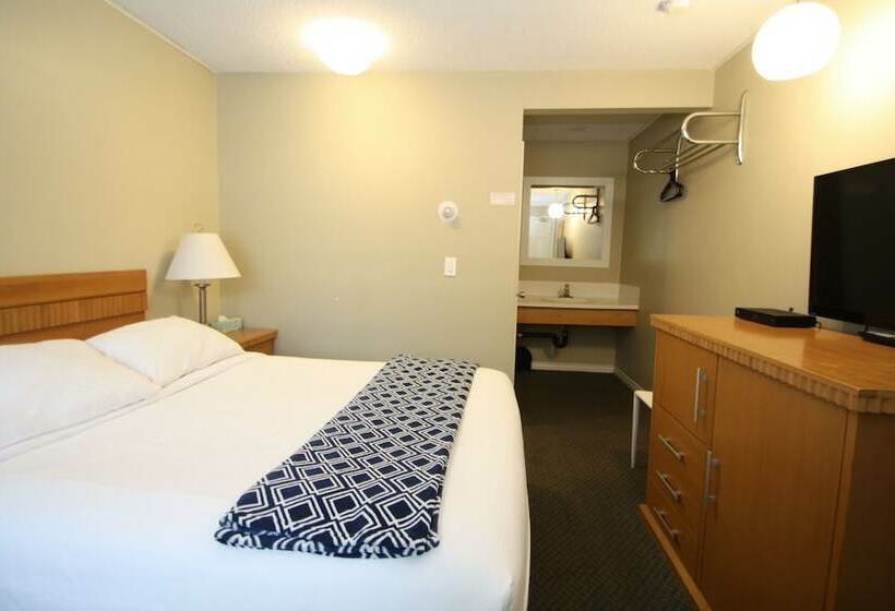 חדר סטנדרט מיטה זוגית, Harrison Spa Motel