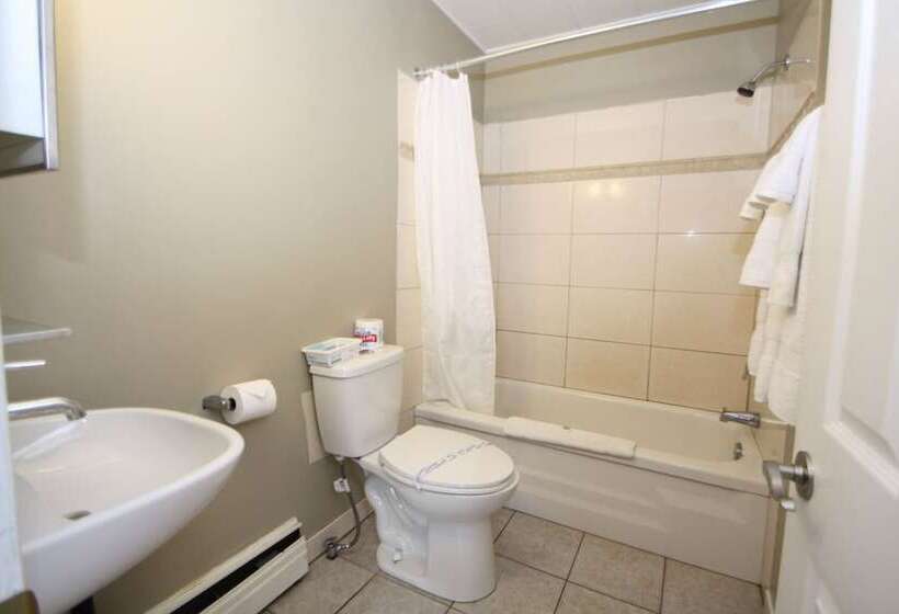 חדר בסיסי, Harrison Spa Motel