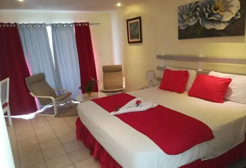 اتاق استاندارد با تخت بزرگ, Costarena Beach