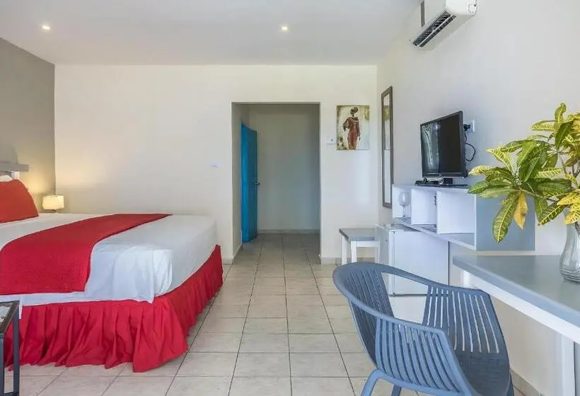 اتاق استاندارد با تخت بزرگ, Costarena Beach