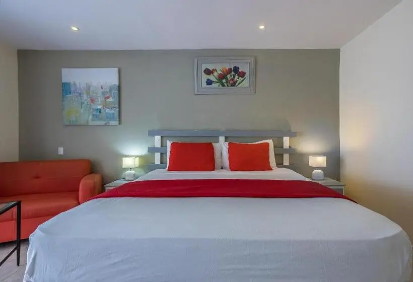 اتاق استاندارد با تخت بزرگ, Costarena Beach