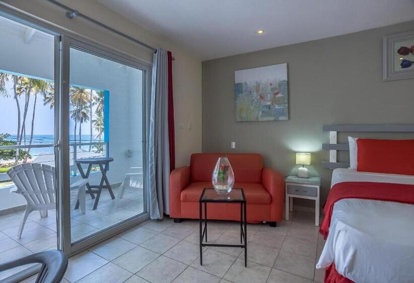 חדר סטנדרט עם מיטת קינג, Costarena Beach