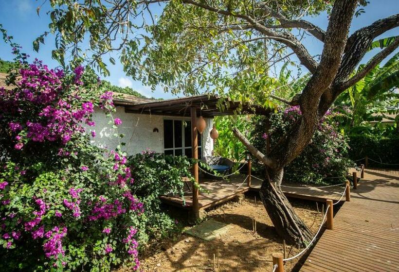 וילה בת חדר שינה 1, Dolphin