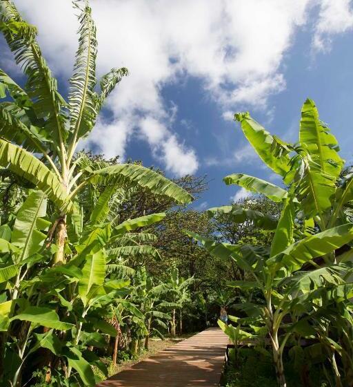 וילה בת חדר שינה 1, Dolphin