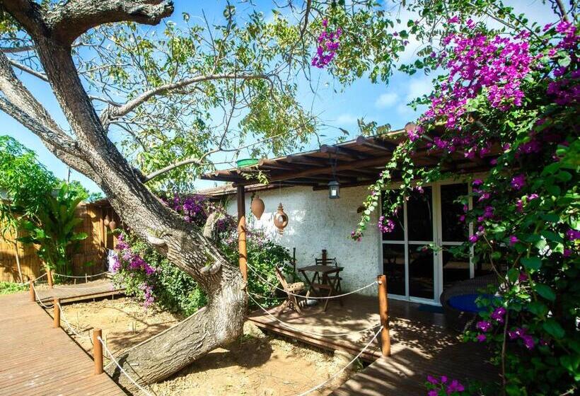 חדר סטנדרט עם מרפסת, Dolphin