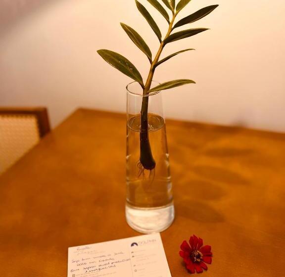 וילה דלוקס חדר שינה 1, Dolphin