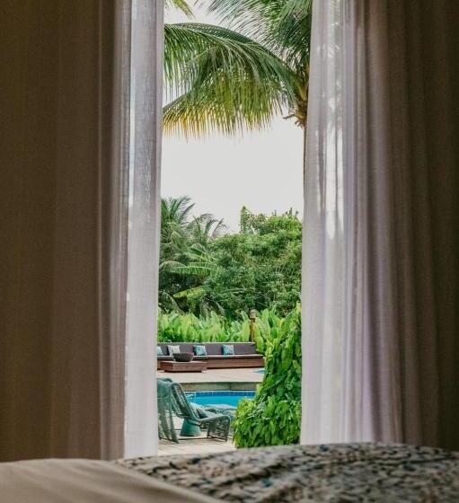 חדר סטנדרט נוף לבריכה, Dolphin