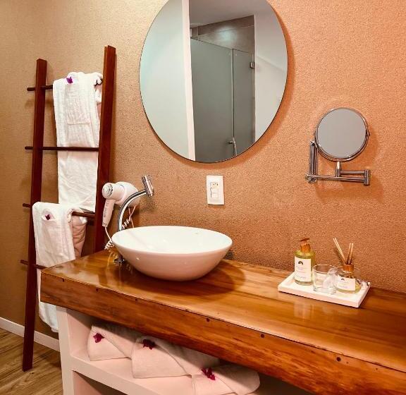 חדר דלוקס, Dolphin