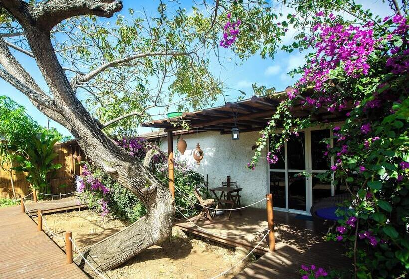 וילה בת חדר שינה 1, Dolphin