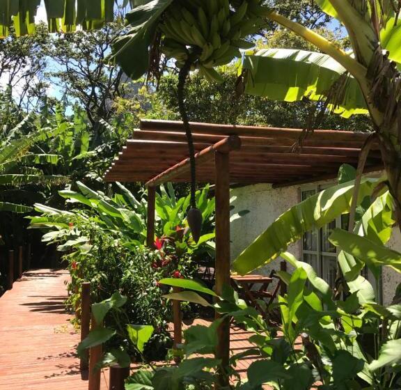 וילה בת חדר שינה 1, Dolphin