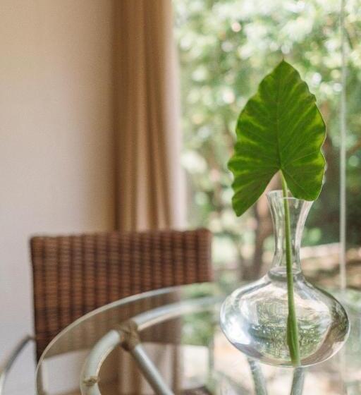 חדר מאסטר, Dolphin