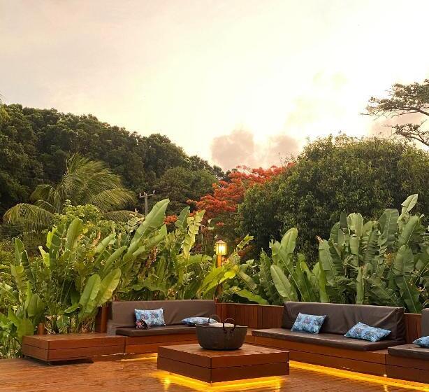 חדר מאסטר, Dolphin