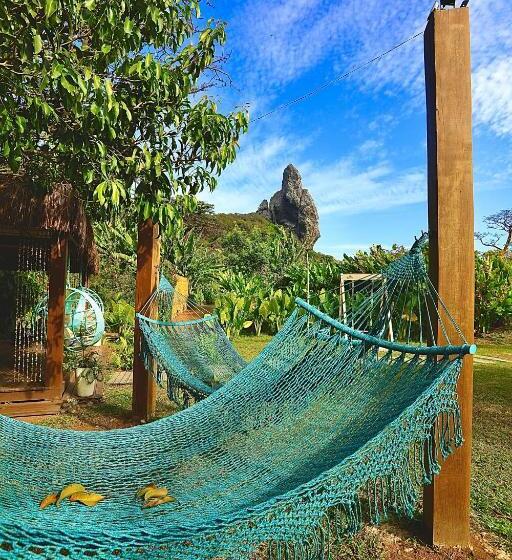 חדר מאסטר, Dolphin