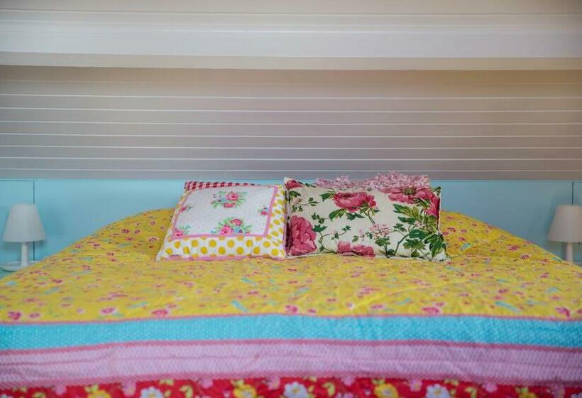 スタンダードルーム, Domburg4you