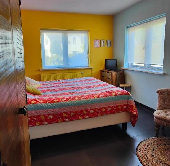 スタンダードルーム, Domburg4you