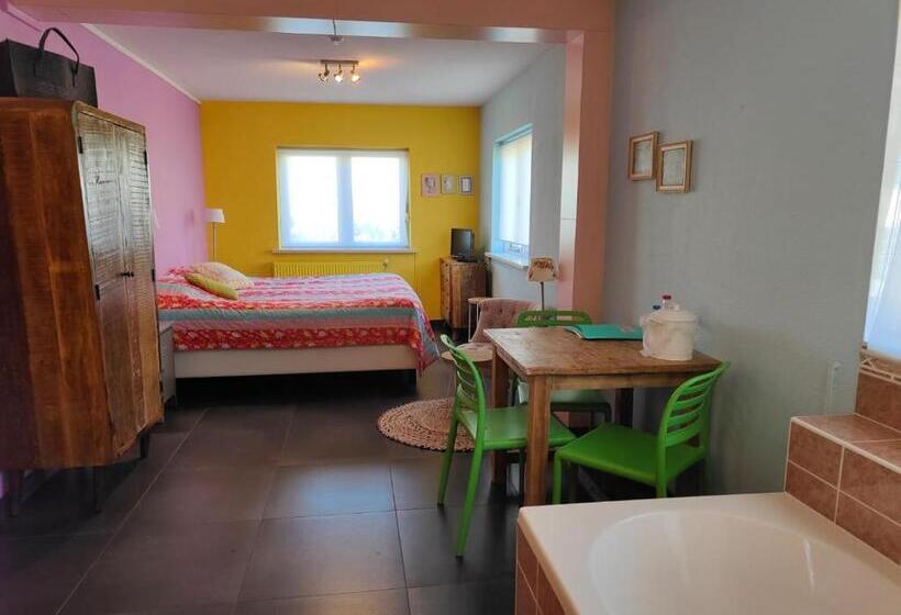 スタンダードルーム, Domburg4you