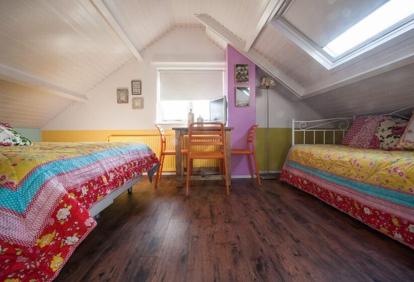 スタンダードルーム, Domburg4you