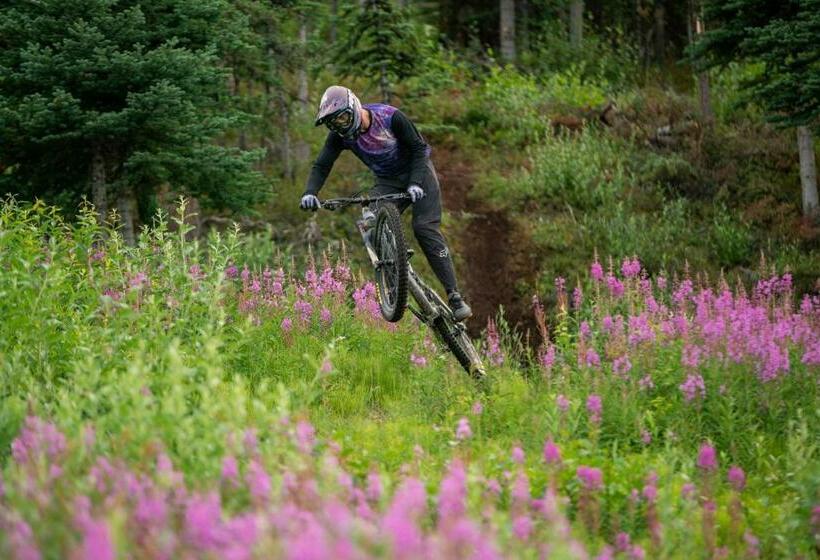 غرفة قياسية, Elite Hotel Downtown Center  Ski & Northern Light Tour Long Term Stay