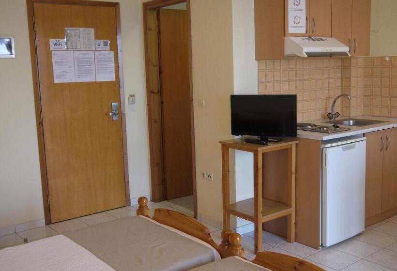 Superior Studio Sea View, Fani