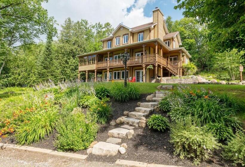 스탠다드 룸, Les Dames Du Lac