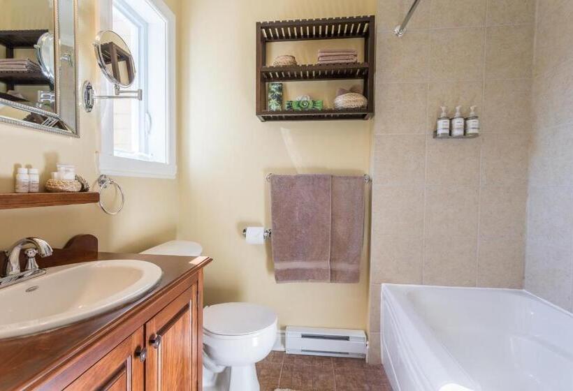 스탠다드 룸 킹사이즈 침대, Les Dames Du Lac