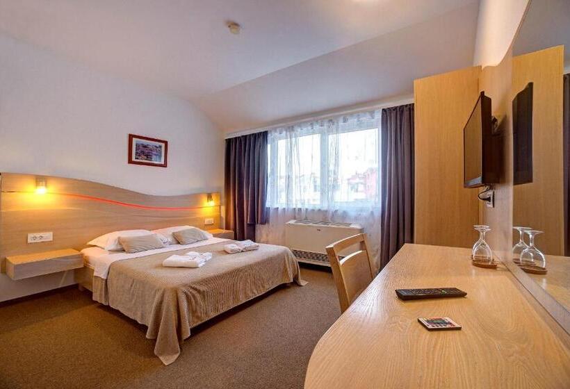 可看到停车场的标准间, Scala Bed & Breakfast