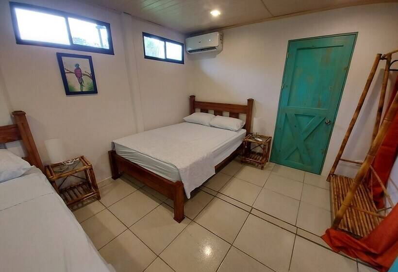 اتاق خانوادگی, Tucan