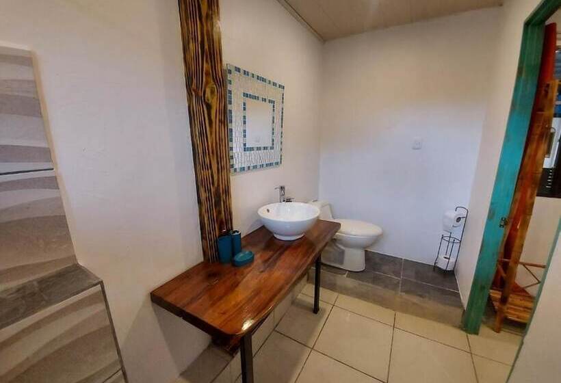 اتاق خانوادگی, Tucan