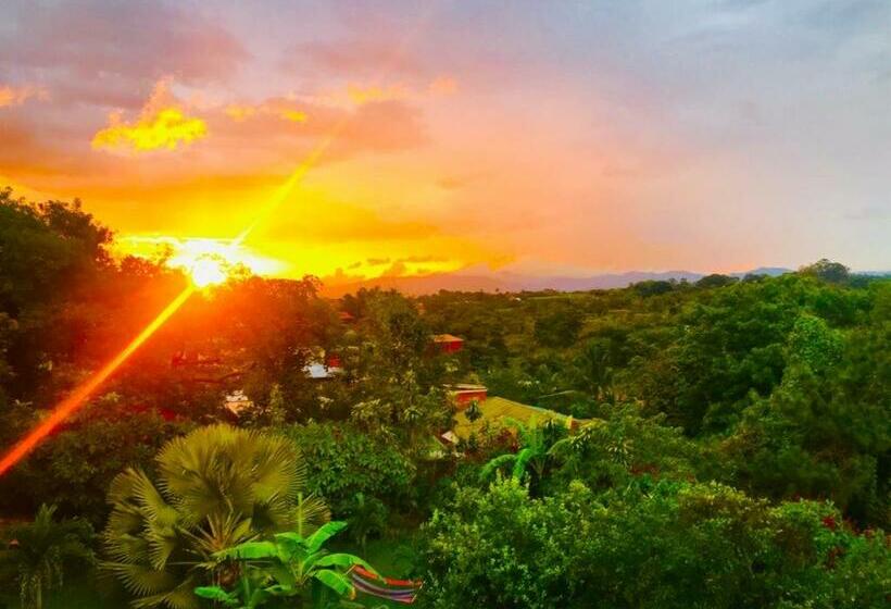غرفة قياسية, Vista Linda Montaña