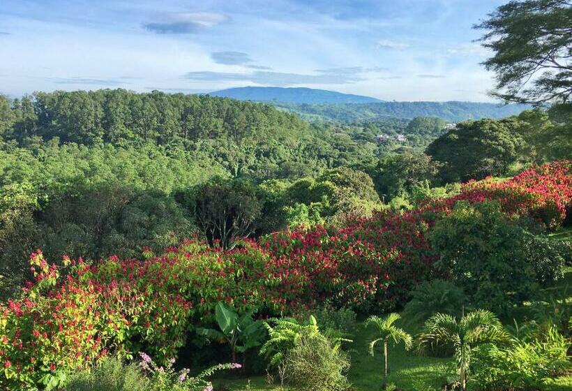 غرفة قياسية, Vista Linda Montaña