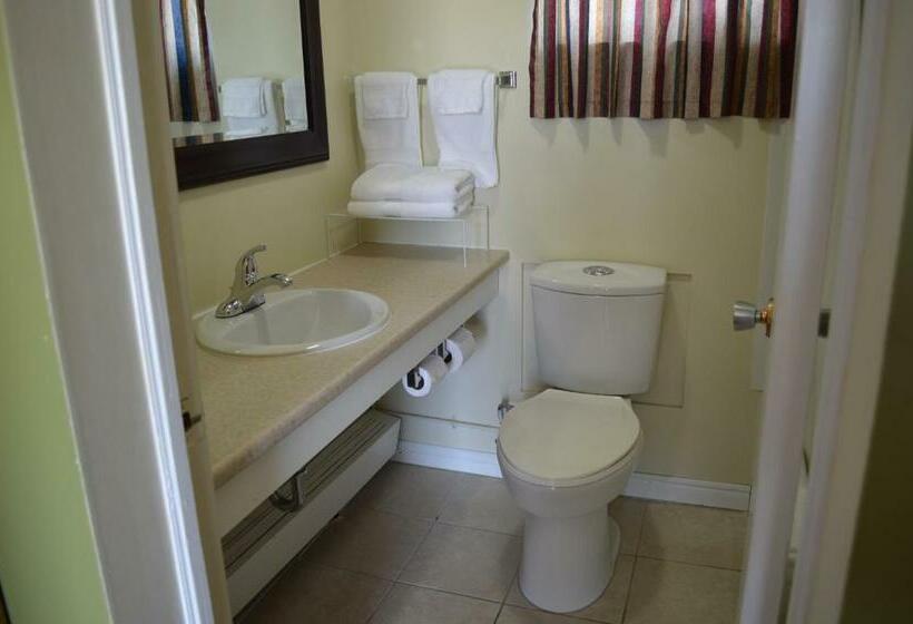 غرفه قياسيه سريرين مزدوجين, Lincoln Motel