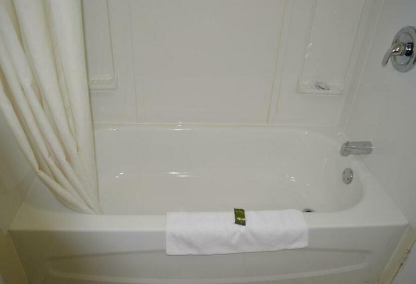 غرفه قياسيه سريرين مزدوجين, Lincoln Motel