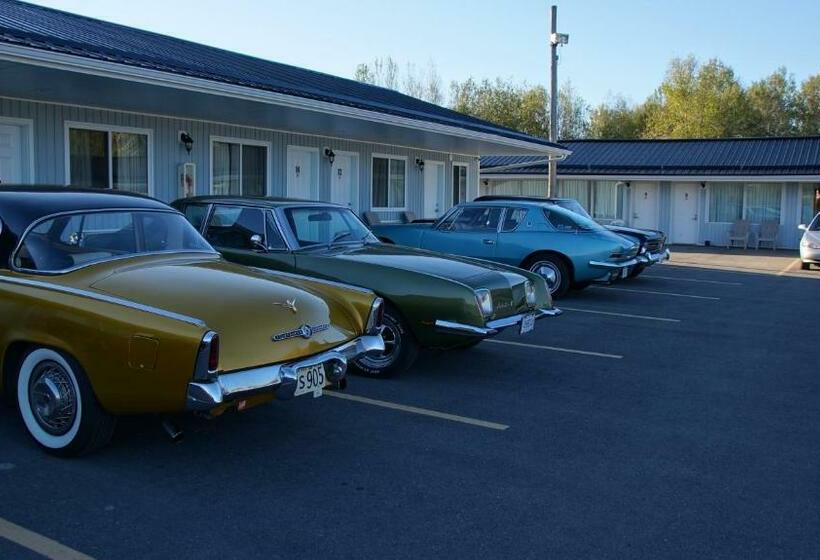 חדר סופריור, Robyn's Motel