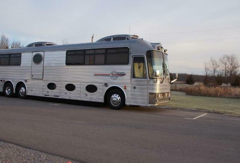 חדר סופריור, Robyn's Motel