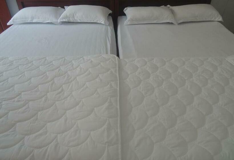 اتاق استاندارد چهار تخته, Guest House 36