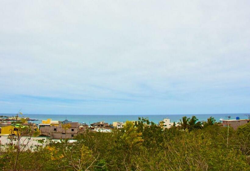 Номер Стандарт, Hostal Suiza