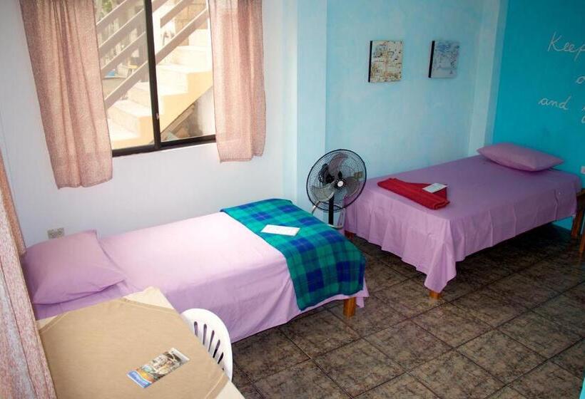 Номер Стандарт, Hostal Suiza