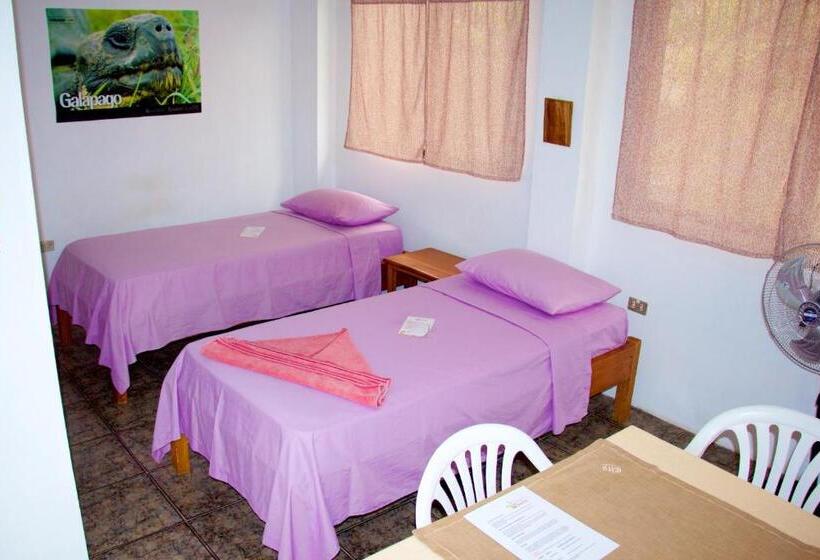 Номер Стандарт, Hostal Suiza