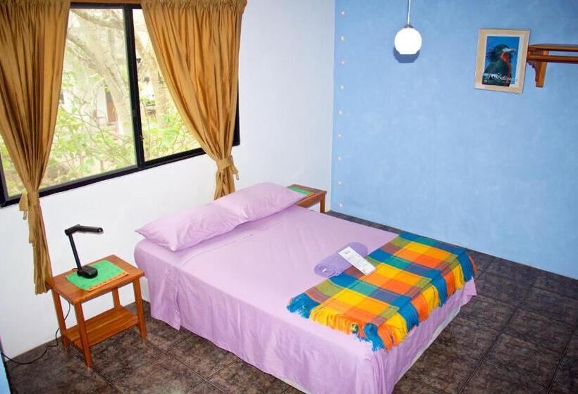 Suite 2 Quartos, Hostal Suiza