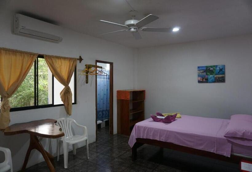 Номер Стандарт, Hostal Suiza