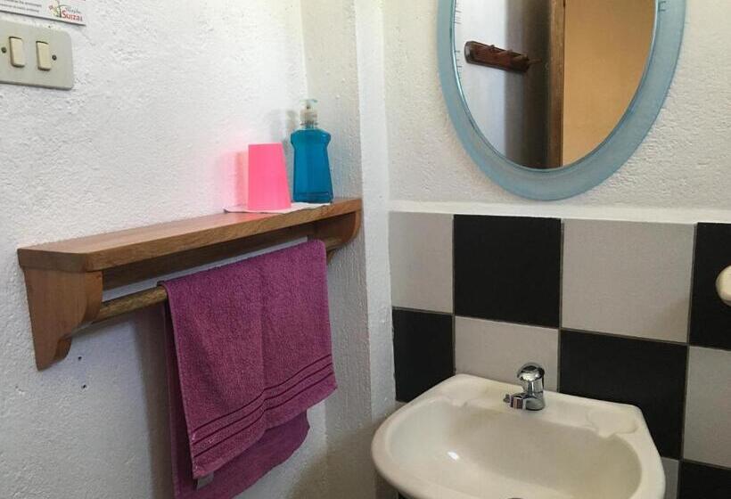 Номер Стандарт, Hostal Suiza