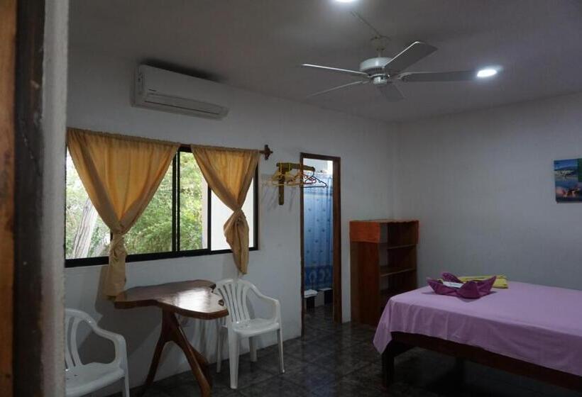 Номер Стандарт, Hostal Suiza